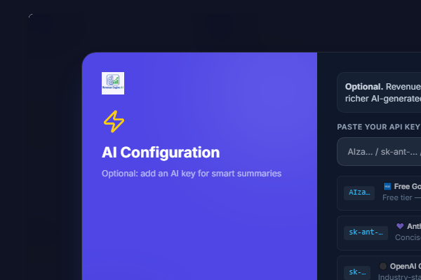 AI Configuration step showing single API key input